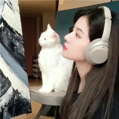 丑闻